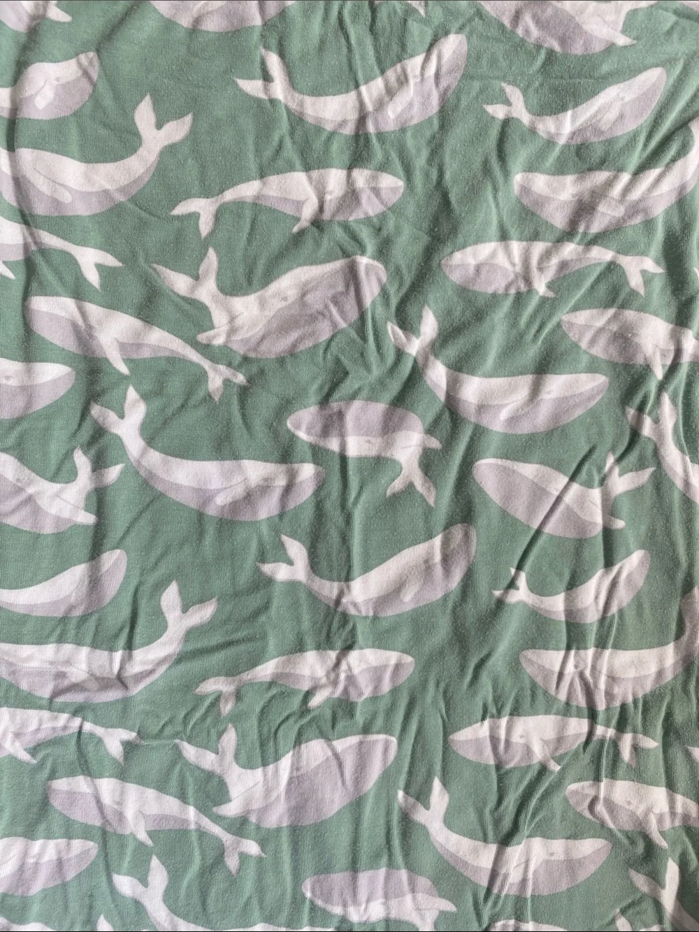 Sweet Bamboo whale print two piece bamboo pajama set, size 8. Excellent cond